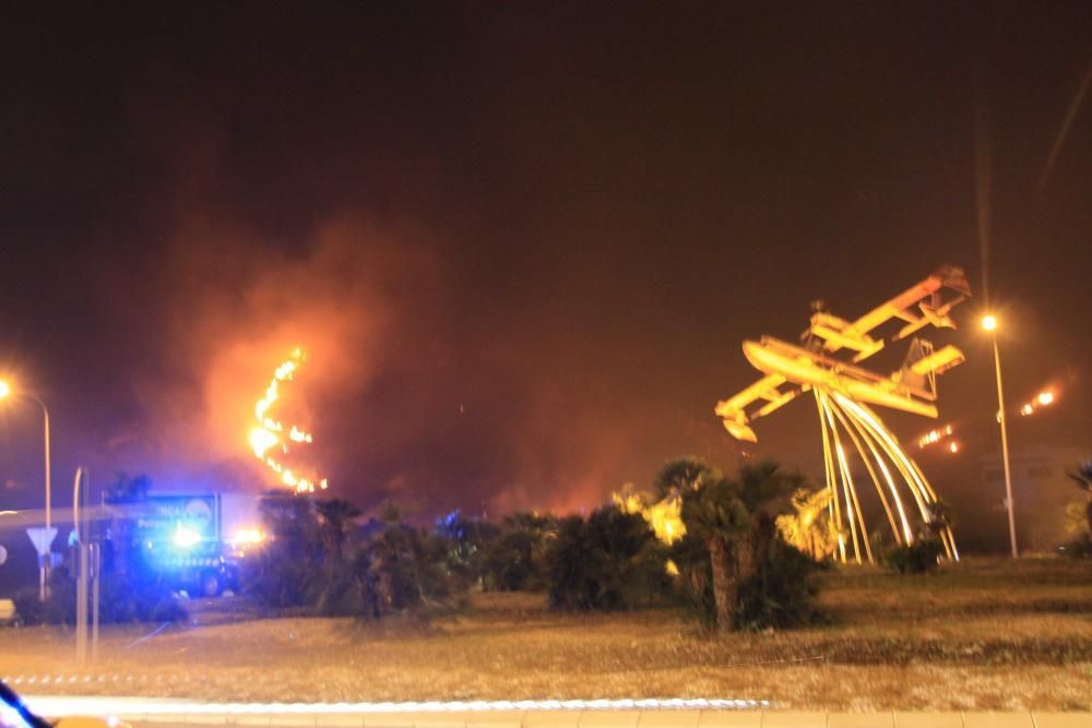 Waldbrand bei Port de Pollença Mallorca