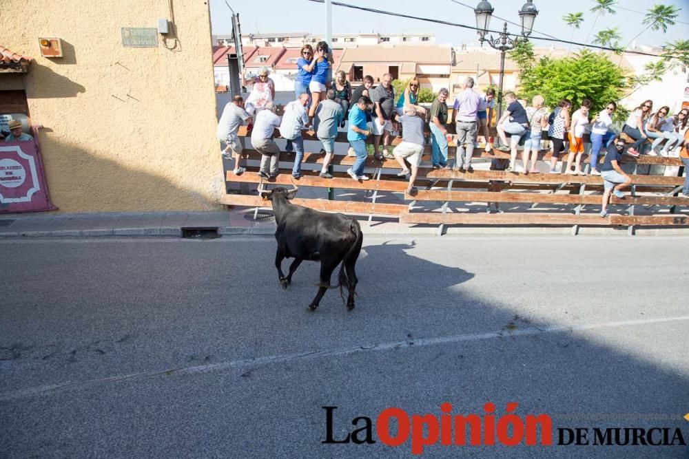 Cuarto encierro Fiestas de Moratalla