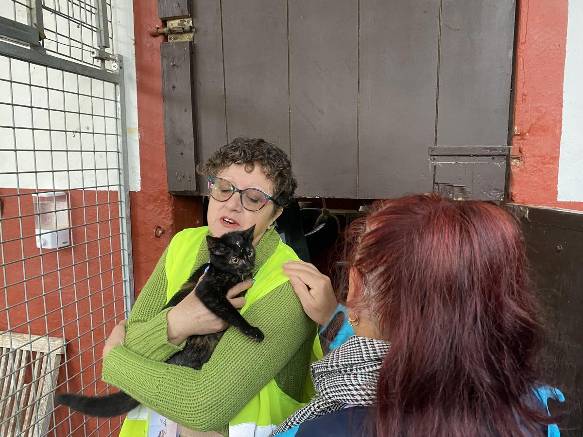 Otro momento de la visita, en este caso en la parte de gatos.