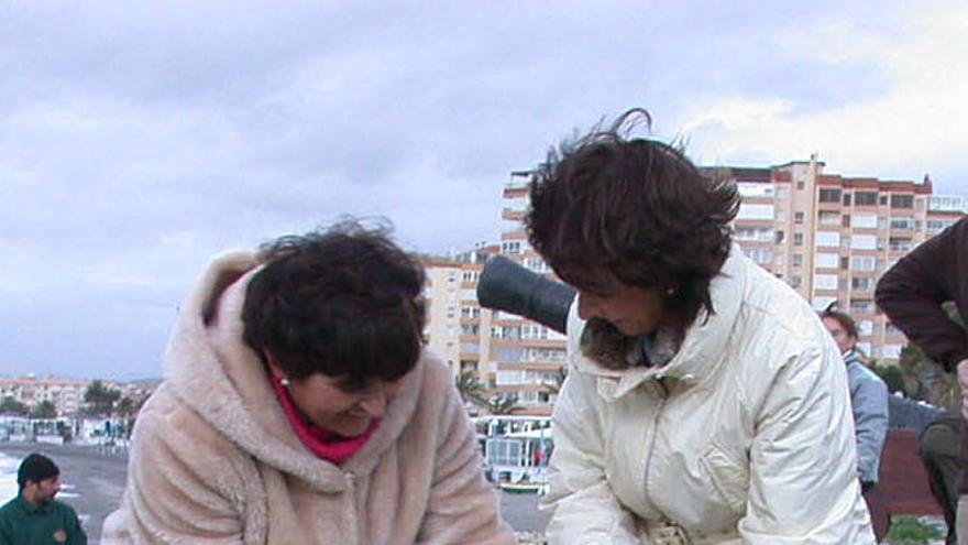 Ejemplo. Remedios Martel invita a Toñi Claros a replantar el litoral.