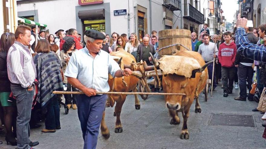 El carro del país tirado por bueyes en el desfile previo a la tradicional pisada de la uva.