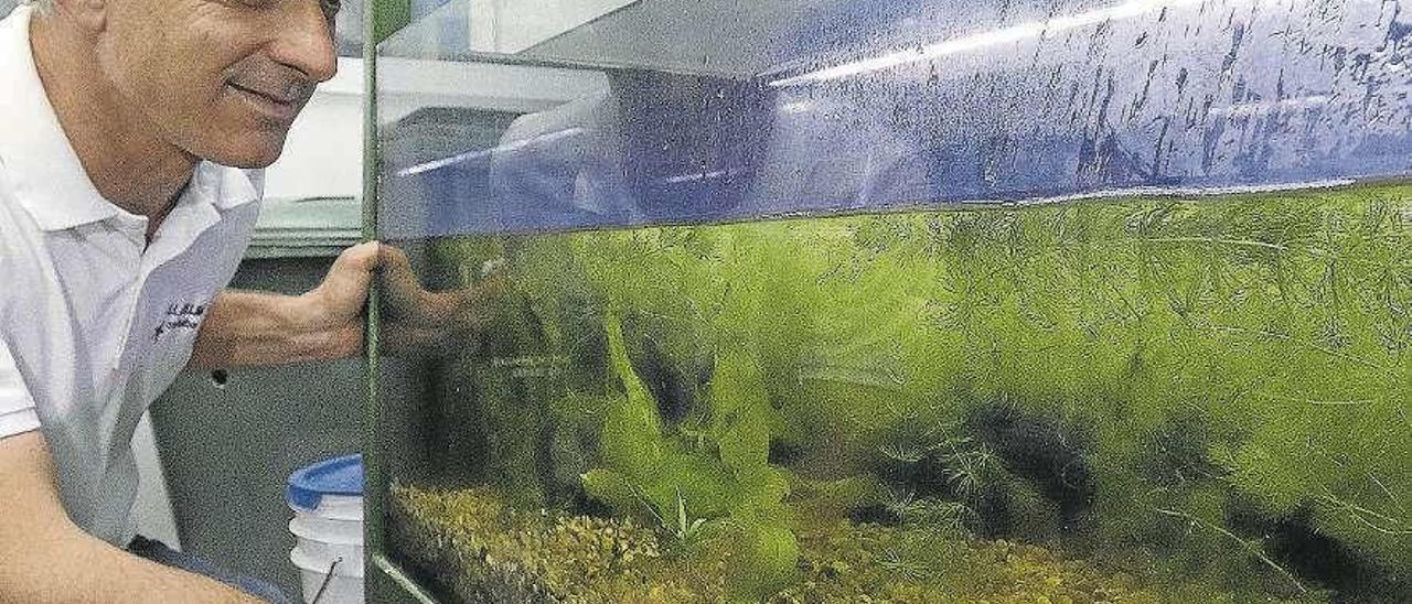 Juan Antonio López, junto a un acuario que sirve para la cría de peces. / Arciniega