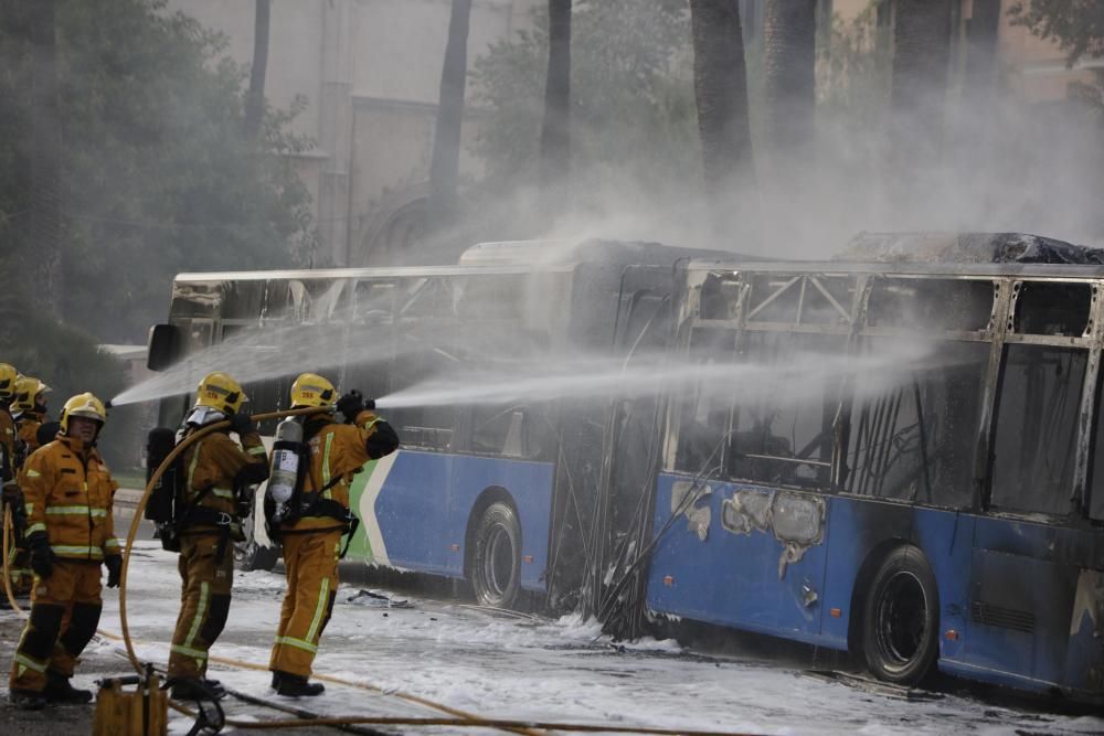 Stadtbus brennt vor der Kathedrale von Palma ab