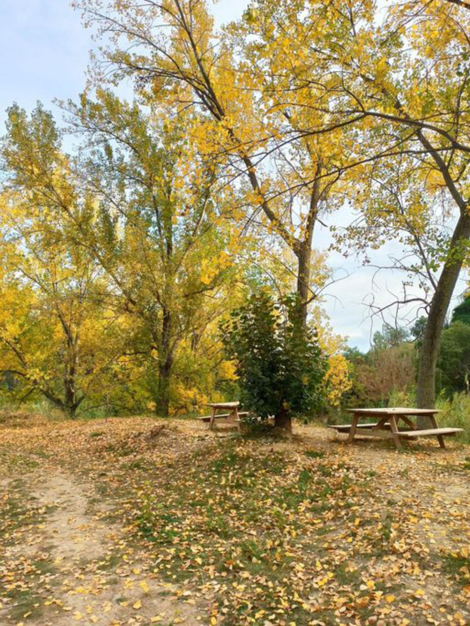 El nacimiento del río Tuéjar es una zona
 reacreativa donde poder pasar el día. | L-EMV