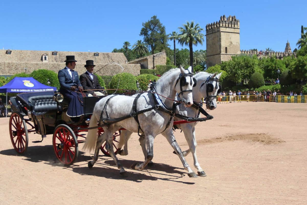 Fotogalería / Exhibición de carruajes