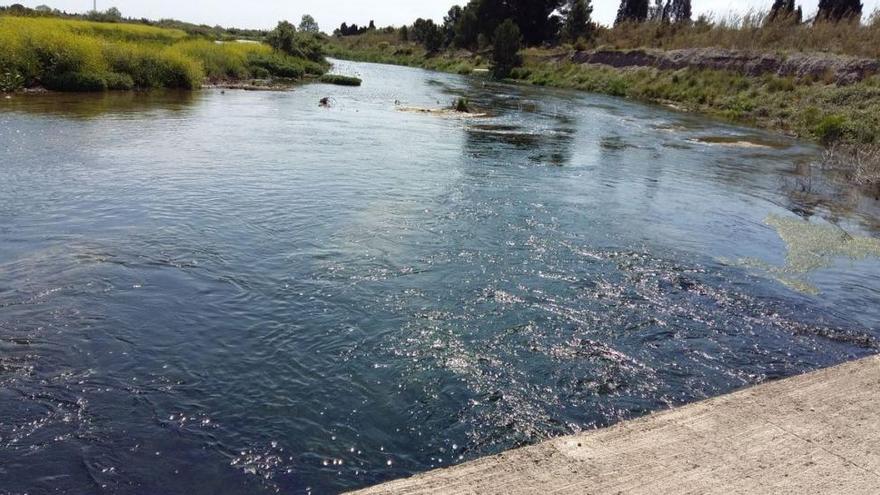 Así luce el río Mijares a su paso por Burriana