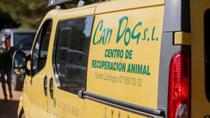 El Consell de Ibiza realiza una inspección en Can Dog