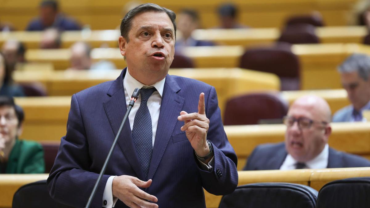 El ministro Luis Planas durante su intervención en el Senado, este martes.