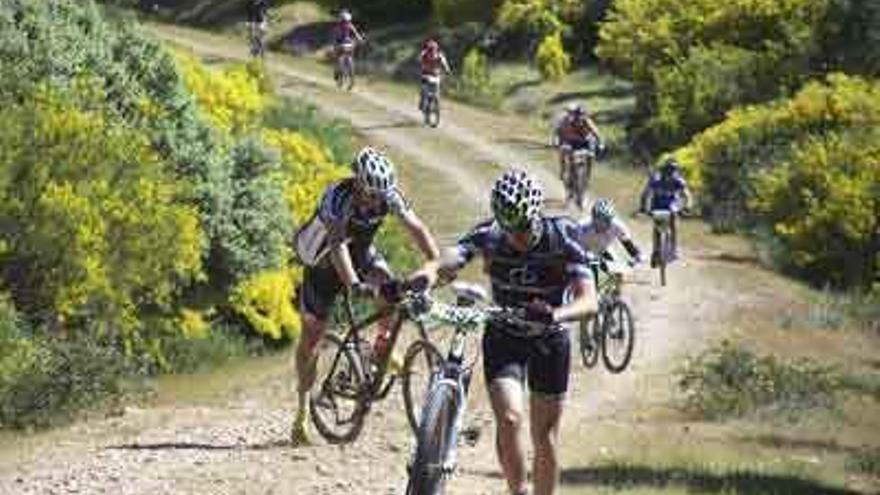 Varios ciclistas hacen una ruta en bicicleta por la provincia.