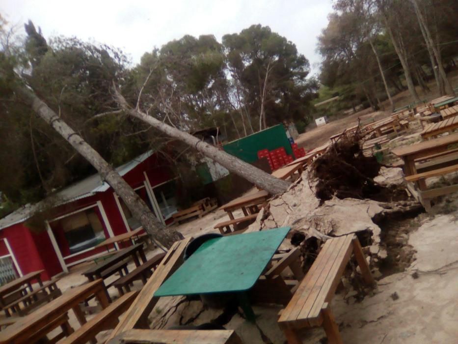 Destrozos en Cartagena a causa del fuerte viento