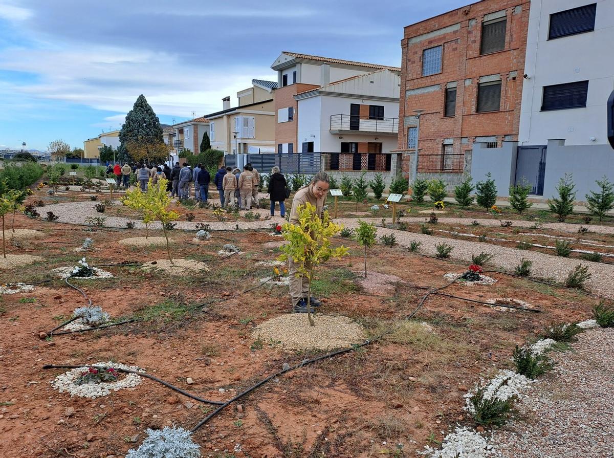 Una de las iniciativas más llamativas del programa de empleo ha sido la creación de un laberinto ecológico.