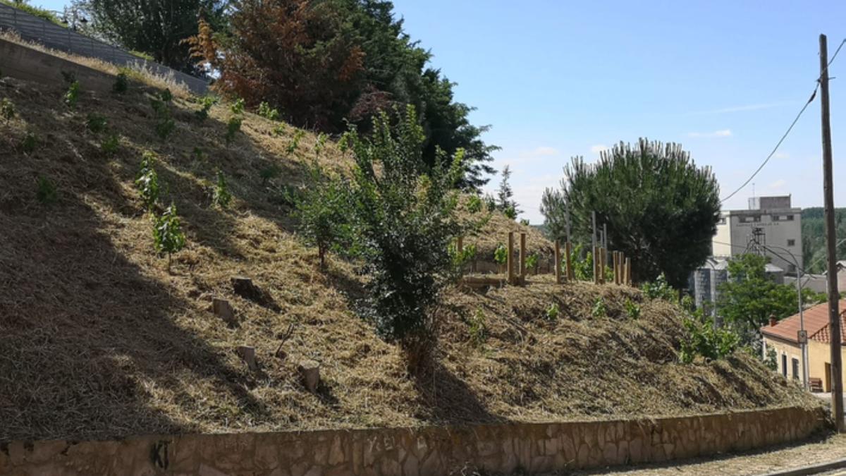 Cuestos de la Mota preparándose para el verano. / E. P.