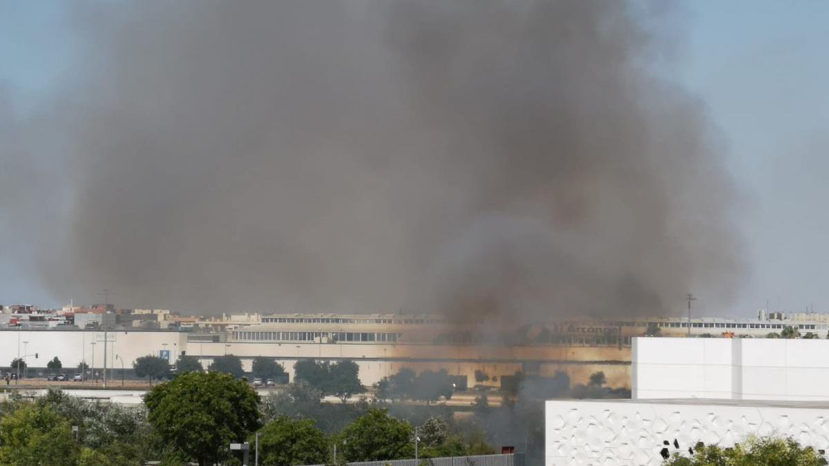 Los bomberos intervienen en un incendio de arbolado y pastos junto al C3A