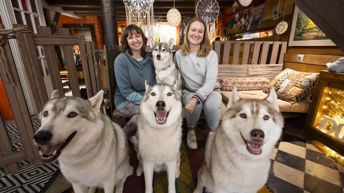 Natalia Suslova y Valentina Okhotnikova, en la Husky House, con los 4 anfitriones perrunos en formación selfie: de izquierda a derecha, Sherman , Shen, Shining y, detrás, Sherly.