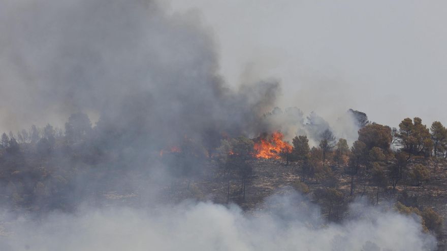 El abandono de más de 176.000 hectáreas agrícolas convierte el monte valenciano en un &quot;polvorín&quot;