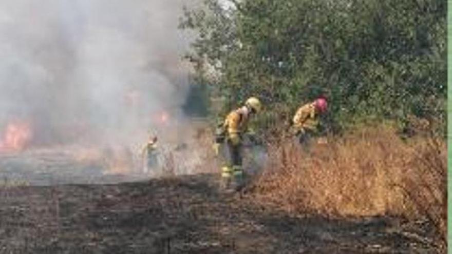 Un incendio de matorrales en la Contraparada (Murcia) provoca la intervención de un helicóptero