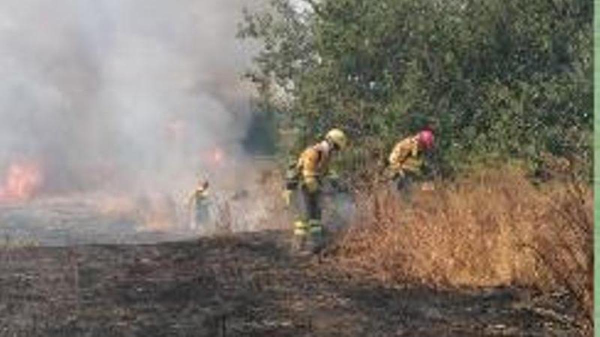 Incendio Contraparada Murcia | Un incendio de matorrales en la Contraparada (Murcia) provoca la intervención de un helicóptero