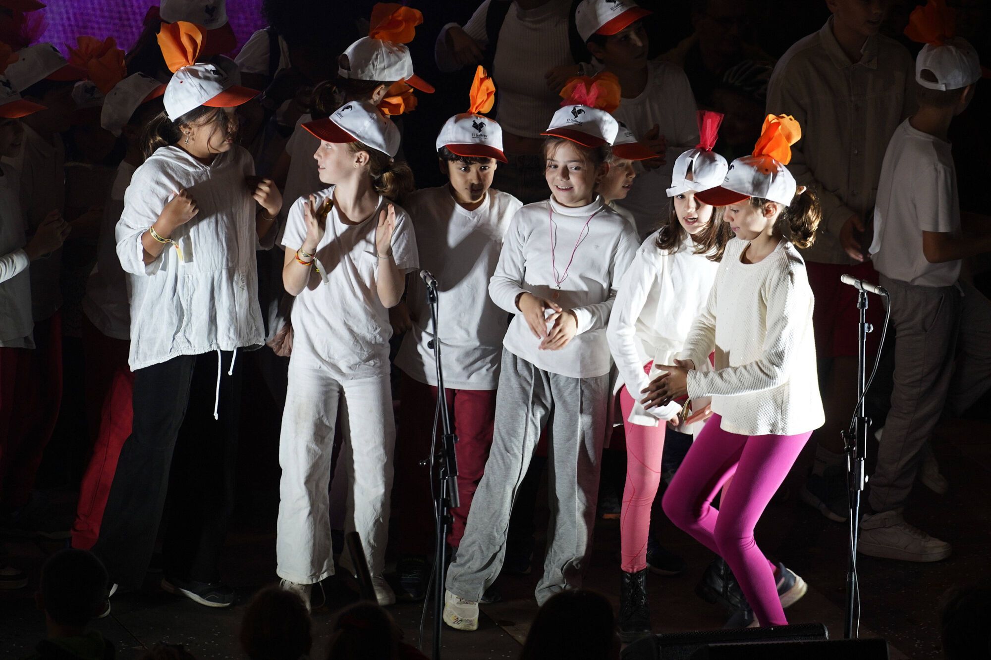 Les fotos del pregó del Galliner a les Fires de Girona