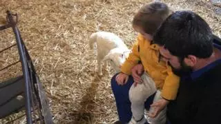José Luis dejó su trabajo de vigilante para ser pastor de ovejas: "Salía antes de que mi hijo se levantara y volvía cuando ya estaba acostado"