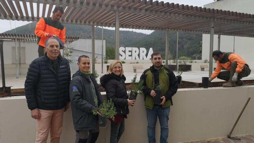 Serra reintroduce la Jara de Cartagenta tras su extinción