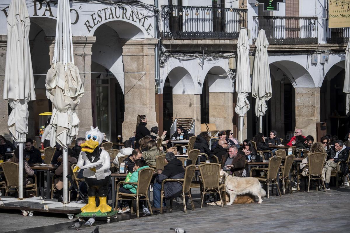 Bares de la plaza Mayor de Cáceres.
