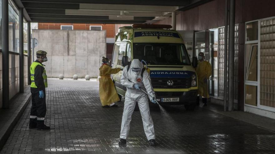 Labores de desinfección en Zamora