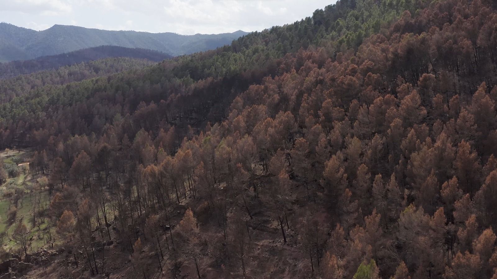 Montanejos sufrió hace poco los efectos de un gran incendio.