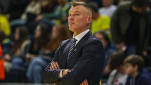 Sarunas Jasikevicius solo conoce la victoria con Fenerbahçe