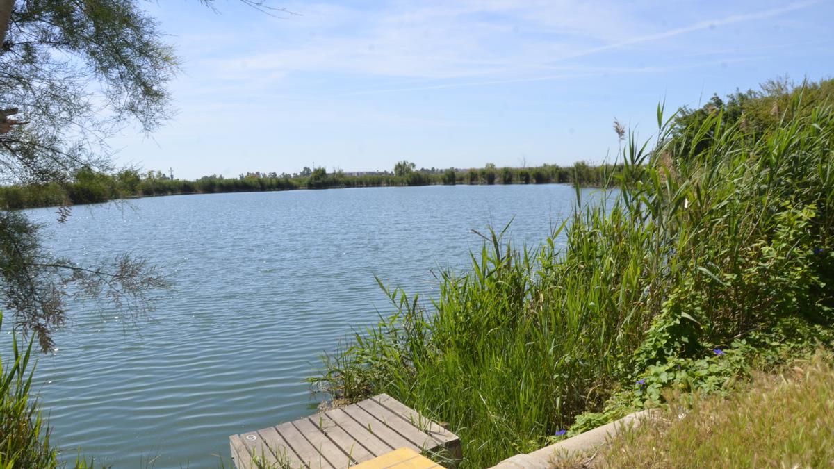 El paraje dels Estanys es uno de los entornos naturales de mayor riqueza ecológica de la zona.