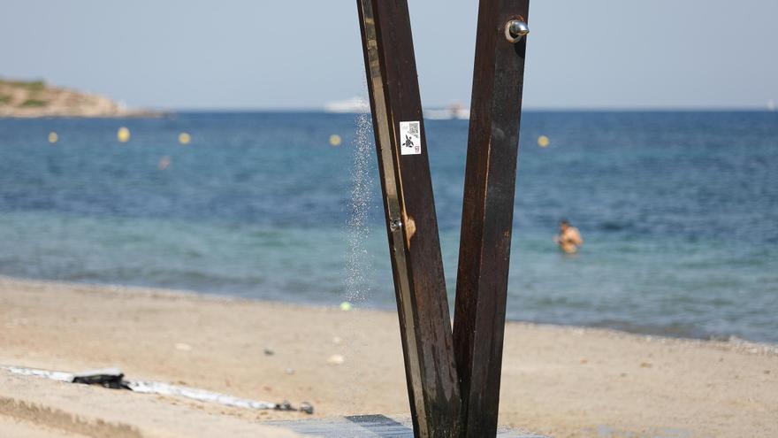 Alianza por el Agua: «El verano será duro, no ha llovido lo suficiente en Ibiza»