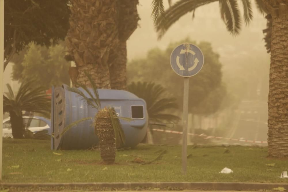 El viento y la calima causan numerosas incidencias en Tenerife.