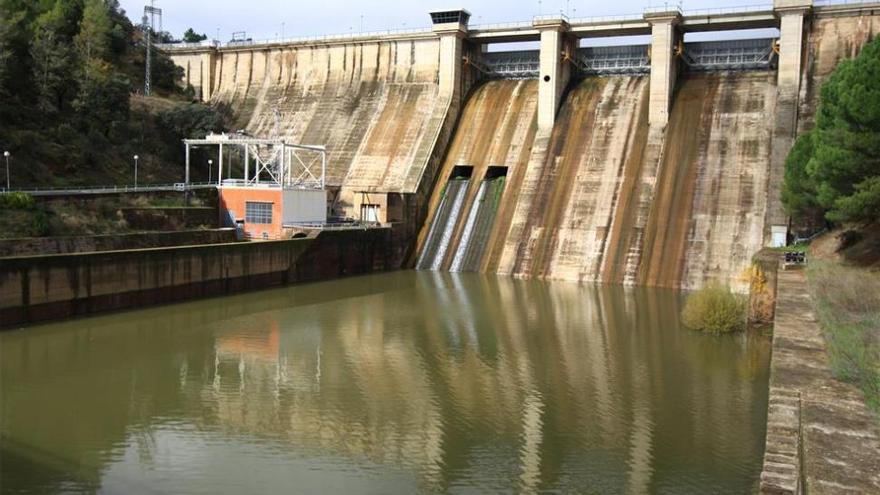 Muere al precipitarse desde la presa de Puente Nuevo