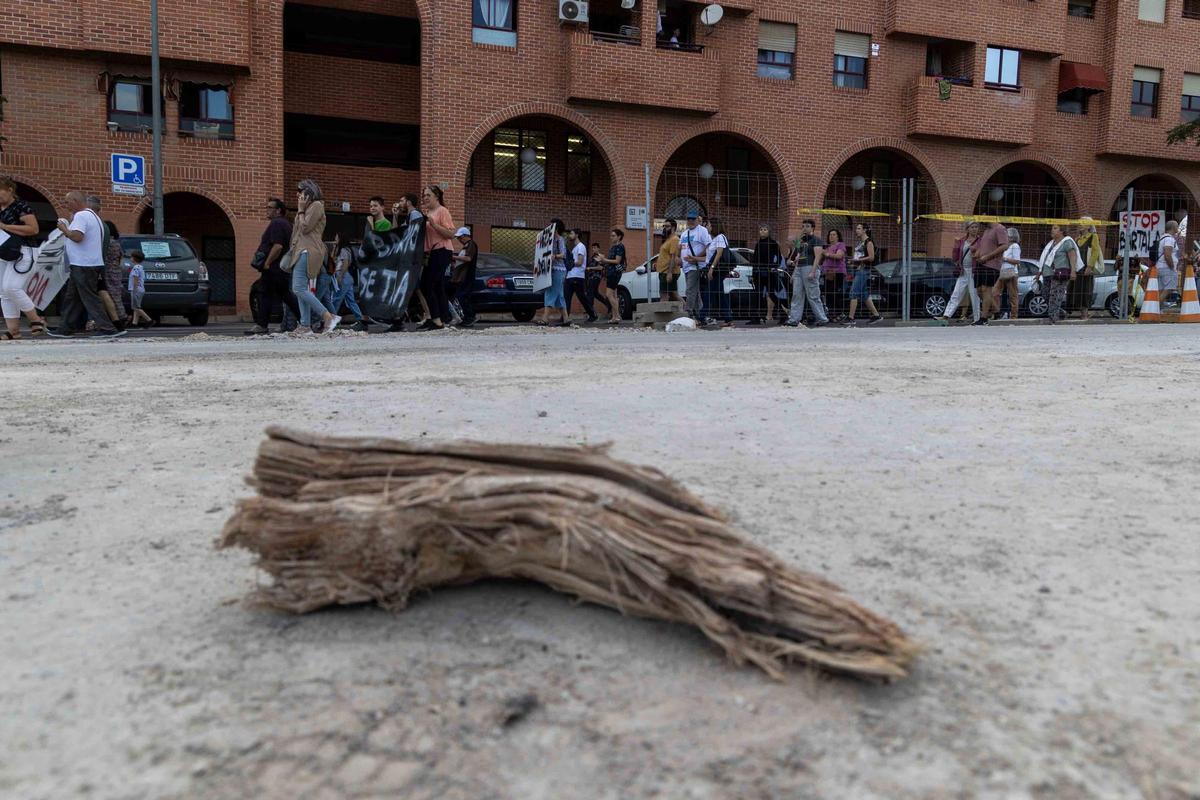 Los vecinos de San Blas claman de nuevo por la tala de árboles en el barrio