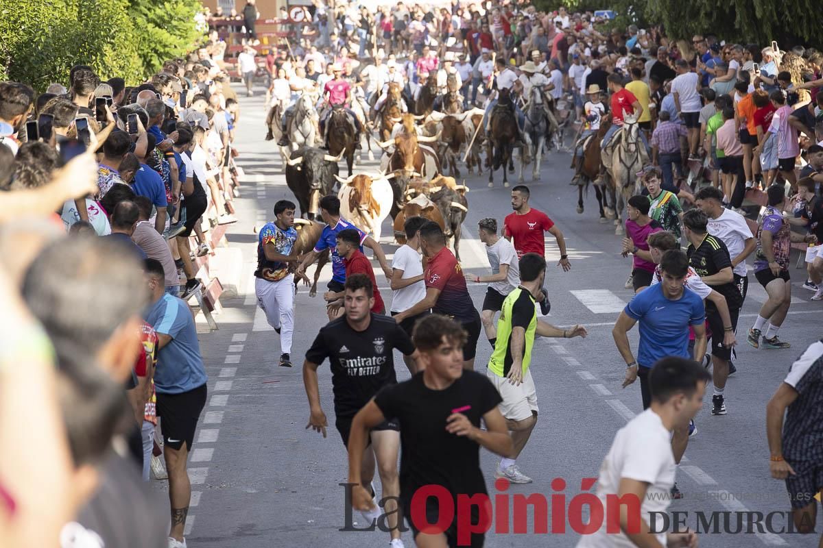 Quinto encierro de las Fiestas de Moratalla