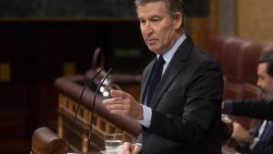 El presidente del Partido Popular, Alberto Núñez Feijóo, interviene durante una sesión plenaria, en el Congreso de los Diputados, a 27 de noviembre de 2024, en Madrid (España). El presidente del Ejecutivo y el presidente del PP, afrontan su primer cara a