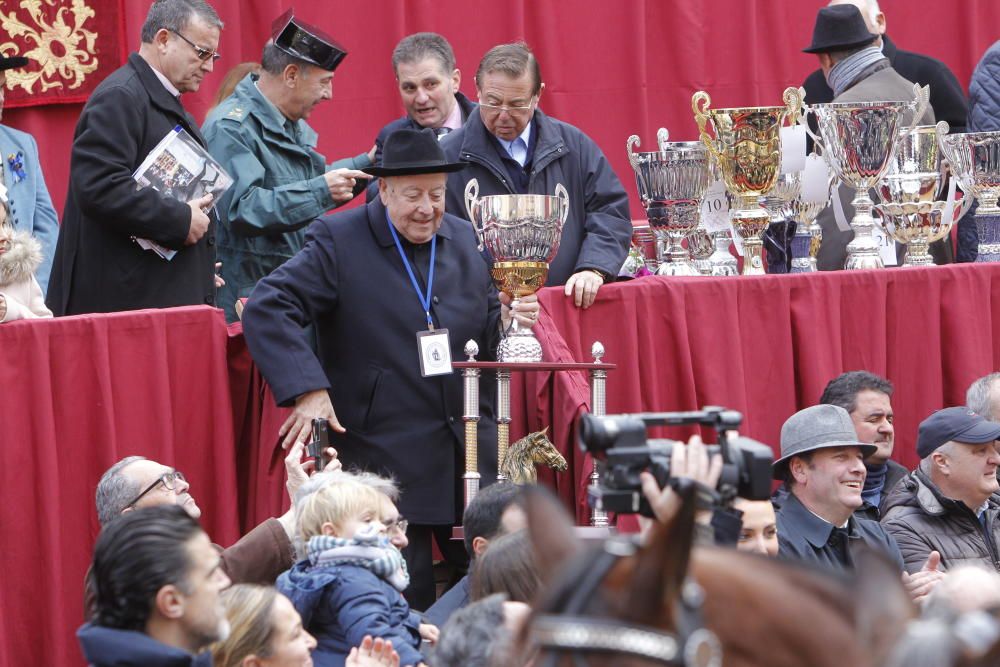 Sant Antoni en Valencia 2017