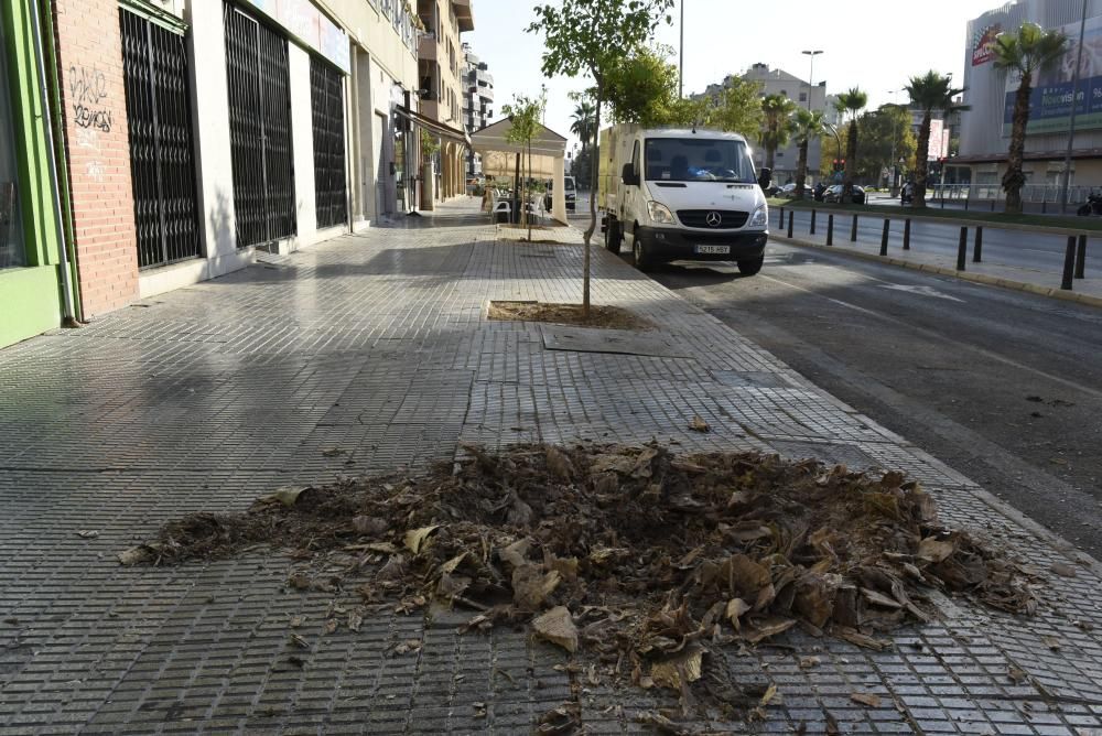 Tala de árboles en la zona del Zig Zag