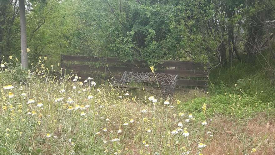 En la foto, un banco rodeado de hierbas en la Cañada Real Soriana.