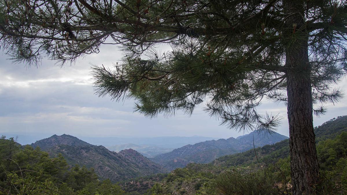 Imagen de archivo de la Sierra de Espadán.