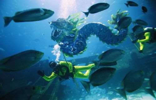 Divers perform a dragon dance as they "bless" the shipwreck habitat of the S.E.A. Aquarium in Singapore
