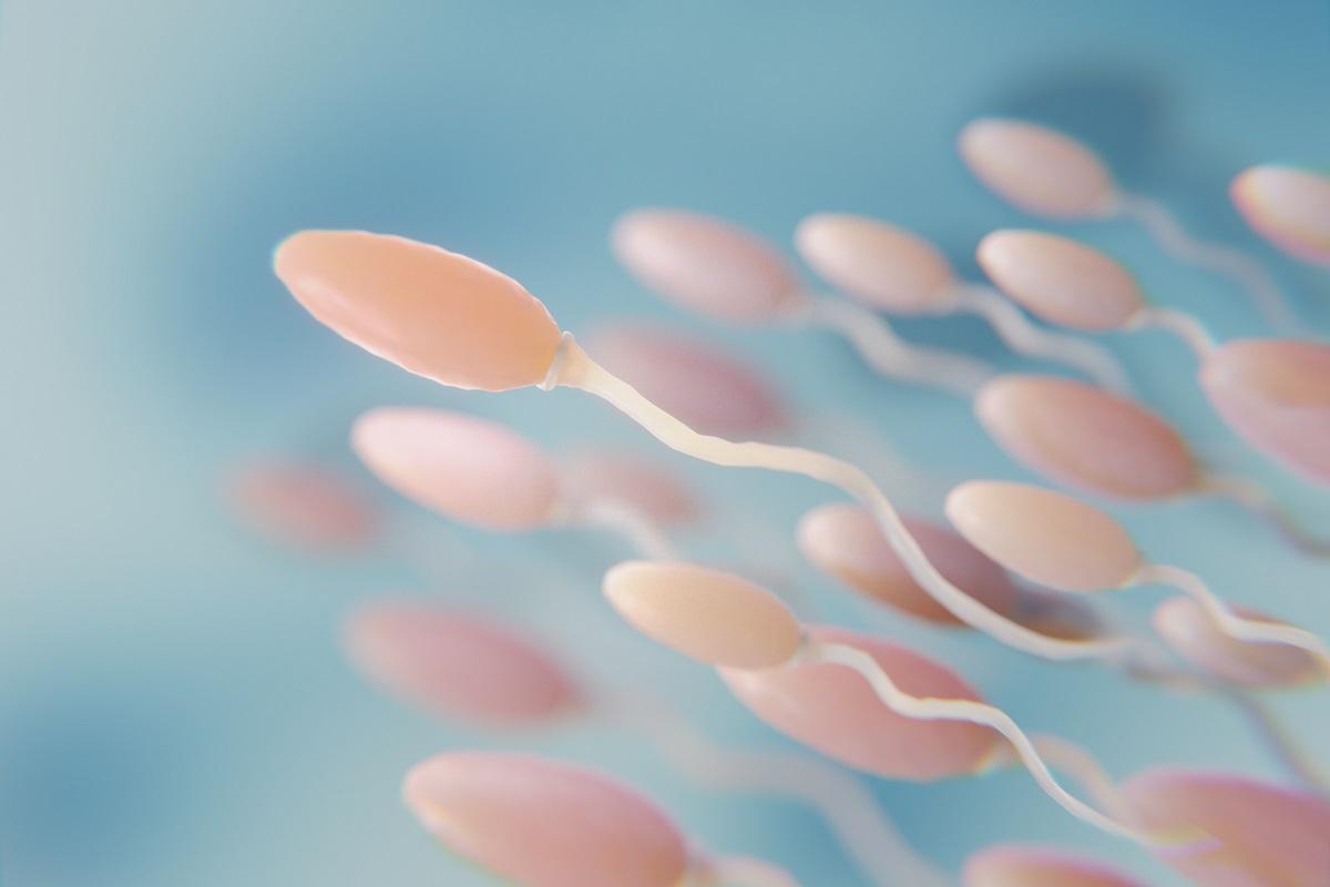 Alerta médica ante el auge de la compraventa 'online' de semen para inseminación  casera