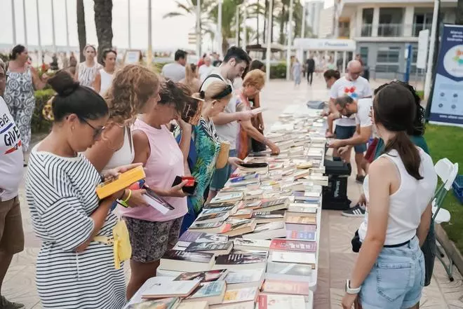 Cullera recauda más de 2.000 euros para investigar el síndrome Wolfram en una feria del libro solidaria