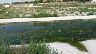 Seis meses con calles convertidas en un reguero de aguas sucias en Sant Joan: "No podemos más"