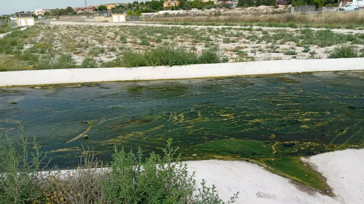 Seis meses con calles convertidas en un reguero de aguas sucias en Sant Joan: "No podemos más"