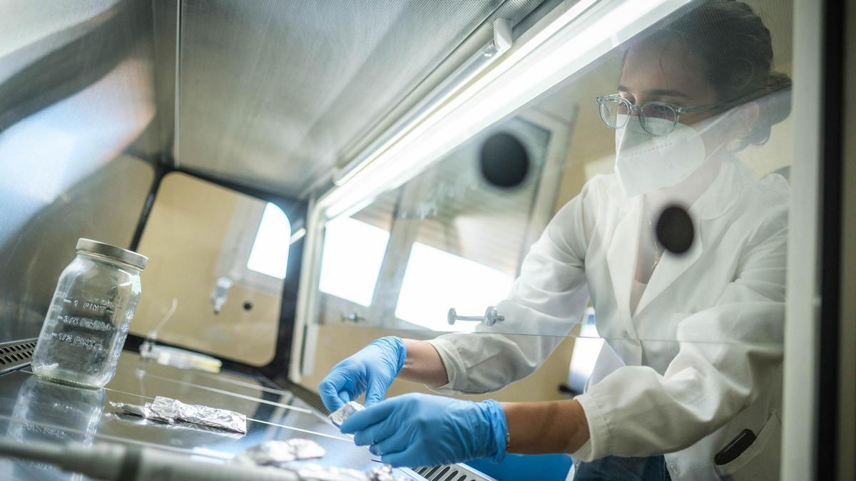 Una investigadora en laboratorio.