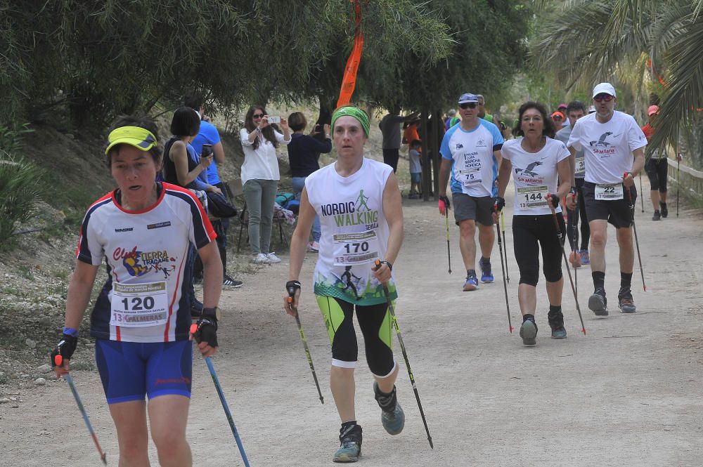 La marcha nórdica se abre paso entre palmeras en Elche.