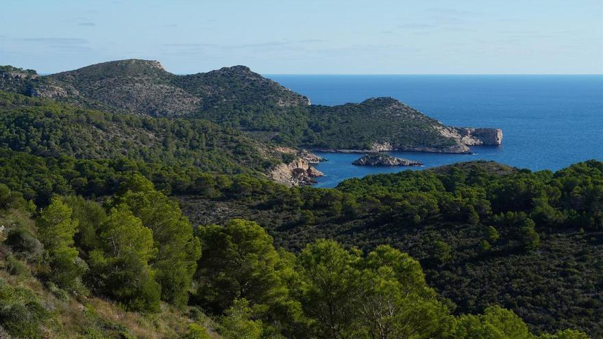 Localizan a 31 migrantes en aguas de Cabrera