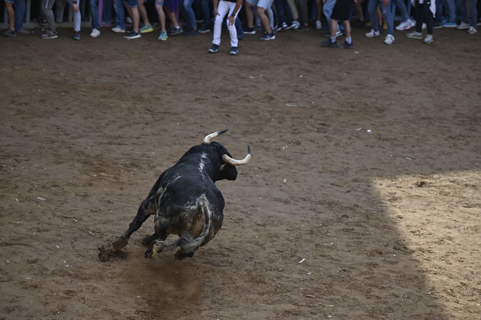 Galería | Primera tarde de toros en Almassora