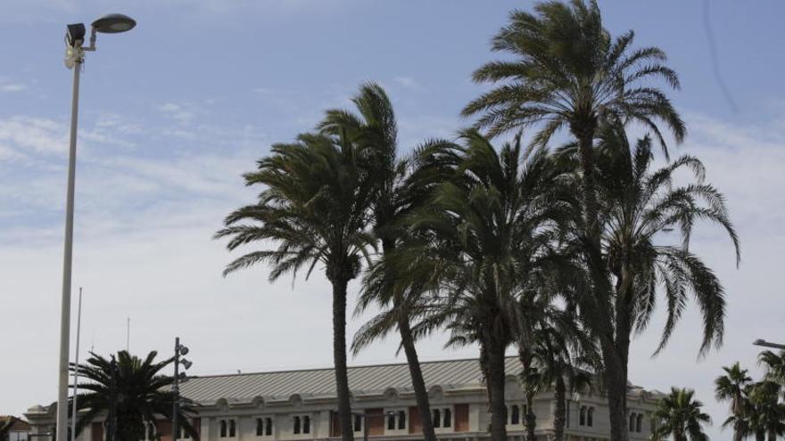 Una herida al caerle en la cabeza varios cascotes de una casa en Petrer por el viento