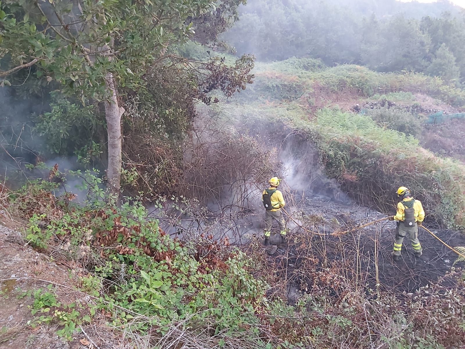 Conato de incendio en Cerrogordo, Icod de los Vinos.